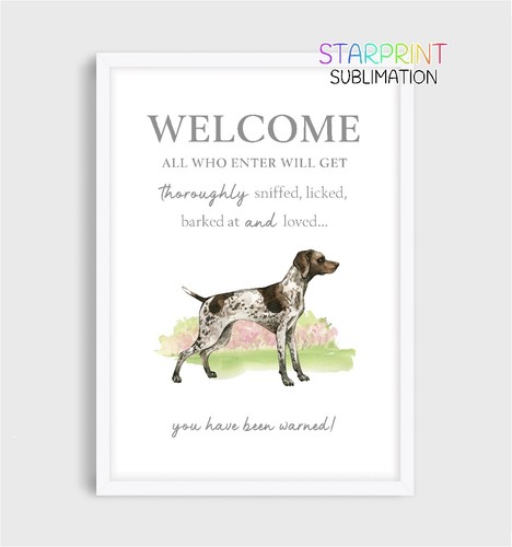 German shorthaired pointer - german,