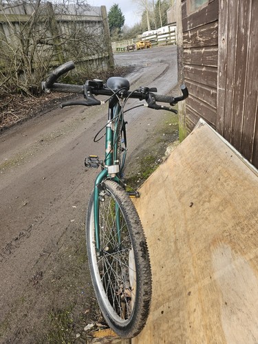 Raleigh max mens - 26", mtb