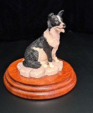 Border Fine Arts Border Collie