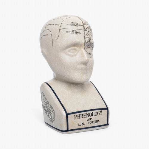 Ceramic phrenology head - ceramic, 12"