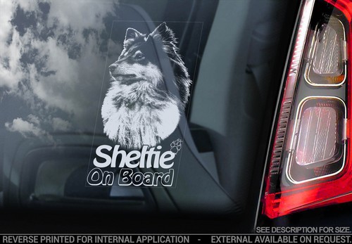 Sheltie car window sticker - car,