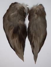 Select Complete set of Bronze