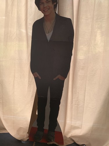 Harry styles life - harry, life-size
