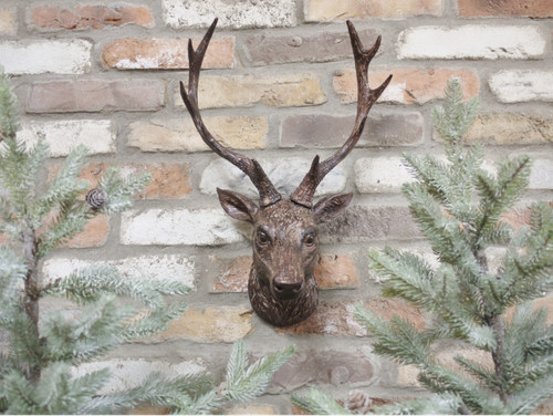 Stag head wall - head, mounted