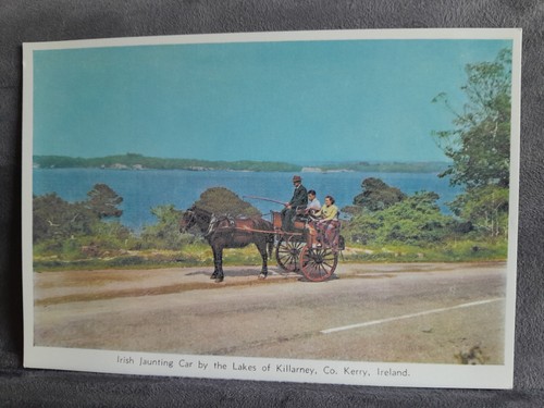 Irish jaunting car killarney - irish,