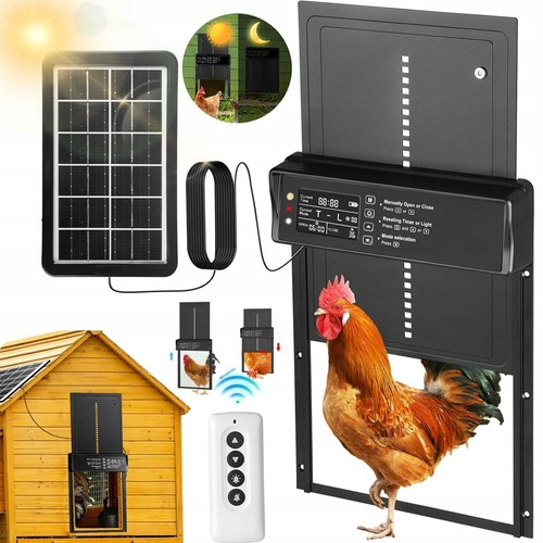 Automatic chicken coop - chicken,