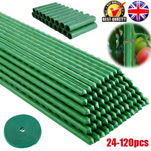 120pack garden plant - 24-120pack,