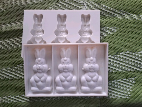 Professional chocolate rabbit - professional,