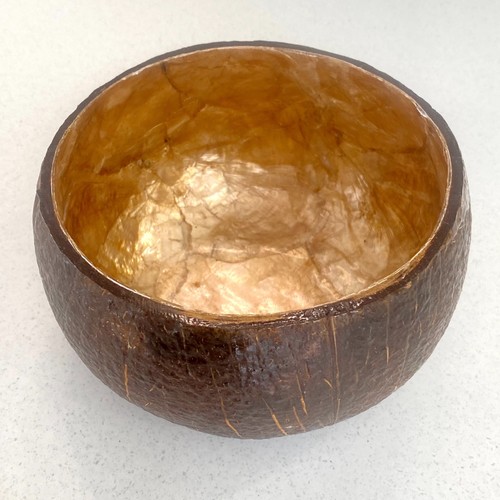 Coconut bowl with shell - bowl,