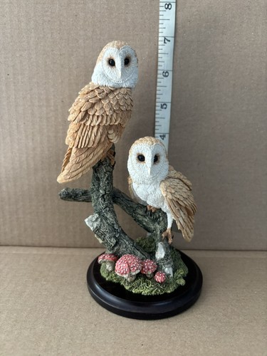Country artists barn owl - country,