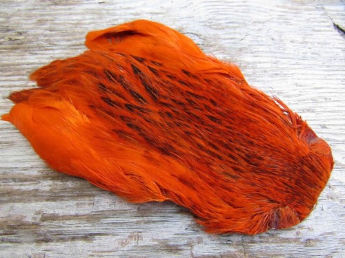 Irish fly supplies domestic - fly,