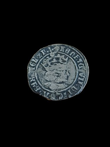 Henry vll regular profile - regular,