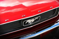 1966 Ford Mustang GT Photo