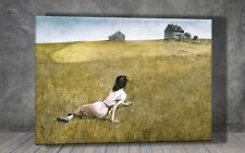 Christina’s World by Andrew