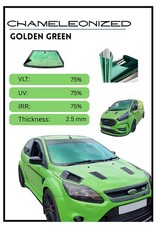 Real Pictures Green Chameleon