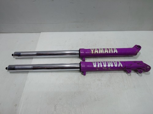 Yamaha ty250z 4gg front fork - ty250z,