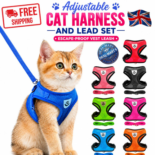 Adjustable cat harness and - harness,