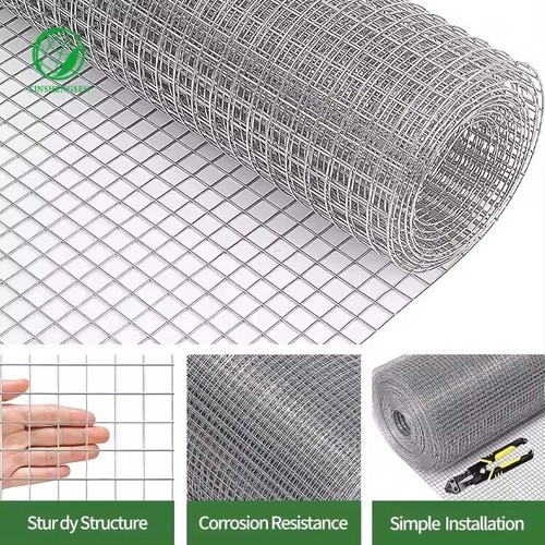 Chicken wire mesh hot dipped - mesh,