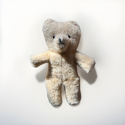 Vintage wendy boston teddy - vintage,