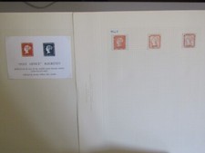 MAURITIUS Collection on leaves