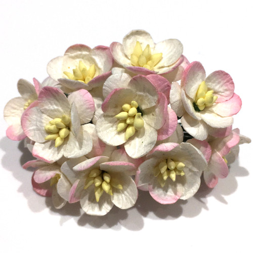 Two tone white - and, pink