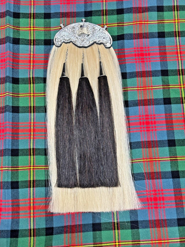 Scottish long hair - scottish,