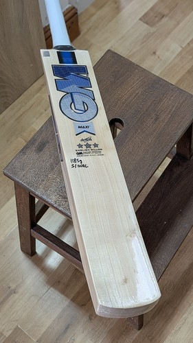 Absolute beast maxi cricket - maxi,