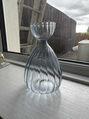 Avocado seed starter - seed, vase