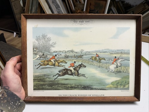 Fox hunting dinner - fox, tray