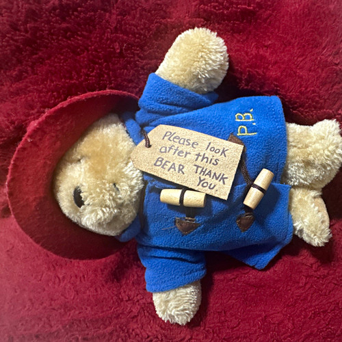 Paddington bear plush - bear, soft