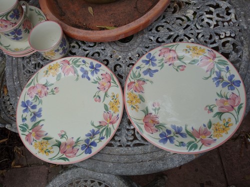 Staffordshire tableware - x,