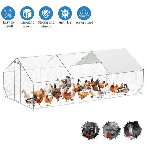 10x20 large metal chicken - 10x20,