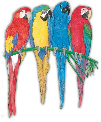 Macaw parrot magnet wooden - macaw,