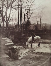 The White Pony 1909 by Frank