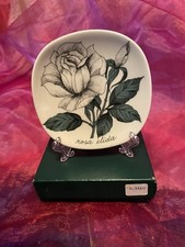 Rosa elida (white rose) Arabia