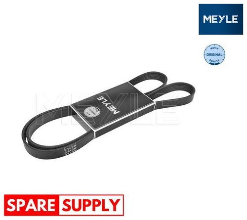 Ribbed belts for lancia - belts,