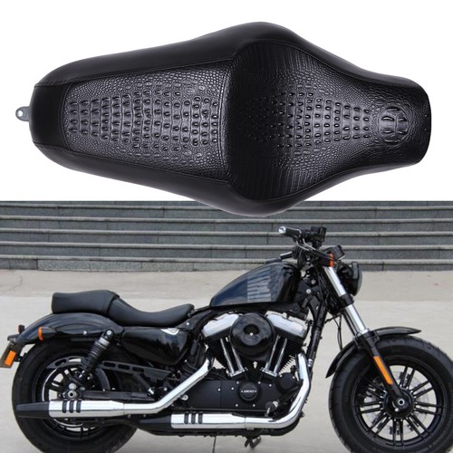 Motorcycle crocodile two - crocodile, two-up