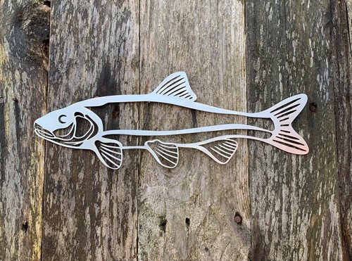 Chub fish steel - wall, fresh