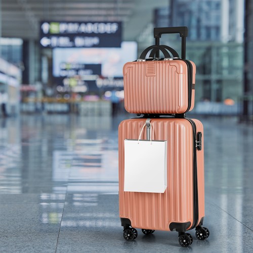 Carry luggage travel - luggage,