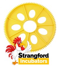 (x1) Large Egg Disk for