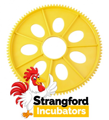 Large egg disk - (x1),