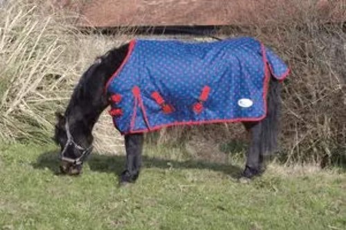 Rhinegold dottie foal torrent - dottie,