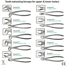 Tooth Extracting Forceps For