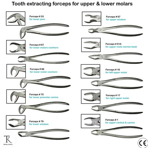 Tooth extracting forceps for - tooth,