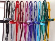 Training halter. Miniature horse. shetland. small pony