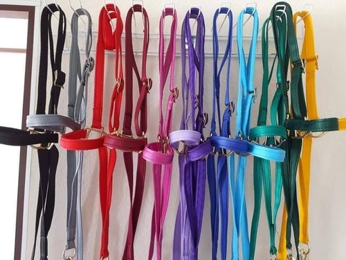 Training halter miniature - training,