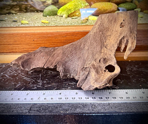 Aquarium driftwood 21cm - aquarium,