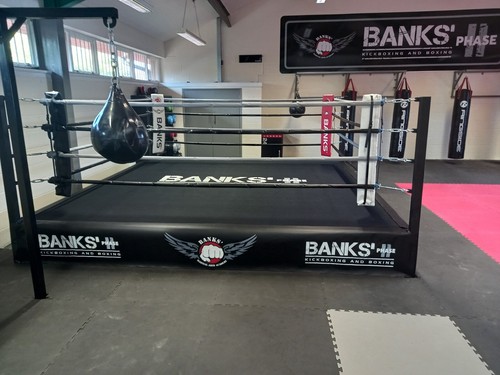 Professional boxing ring - professional,