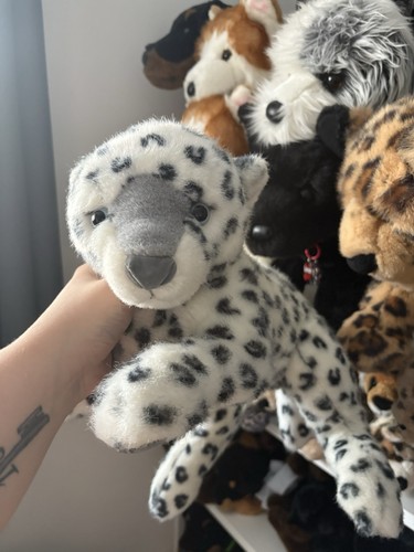 Douglas retired snow leopard - douglas,