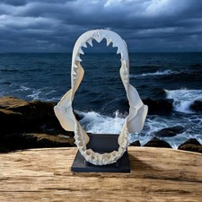Shark Skull Jaw Model – Great White Shark 33cm Replica with Display Stand 